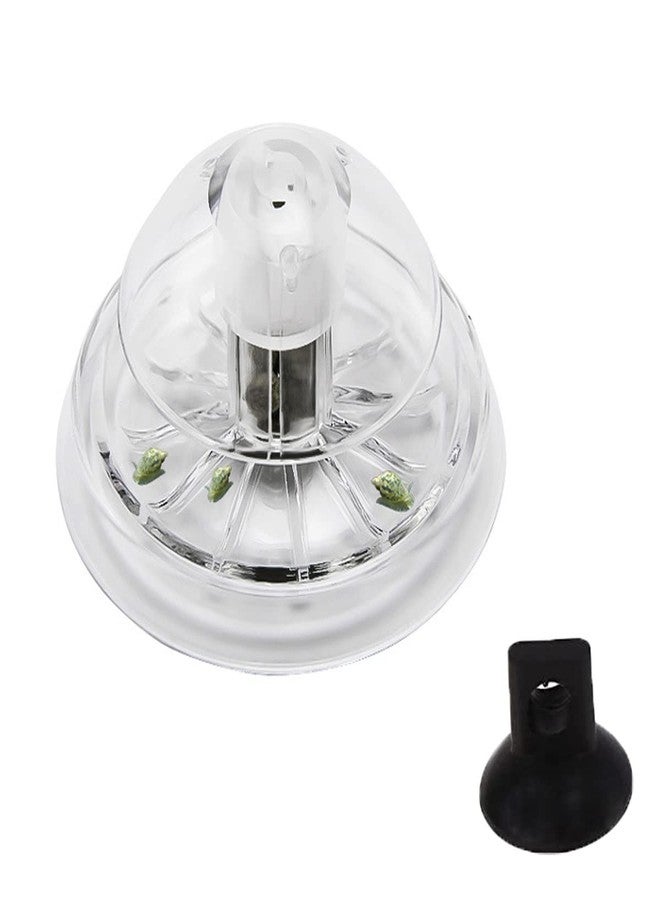 Caylingdee Snail Catcher Plastic Aquarium Snail Trap Snail Box with Fishing Line and Sucker for Aquarium Fish Tank - Image 2